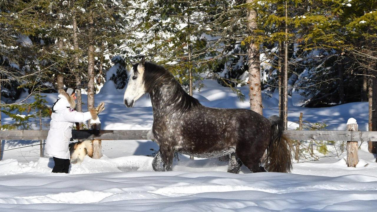 Le Ti Moose Villa La Malbaie Eksteriør bilde