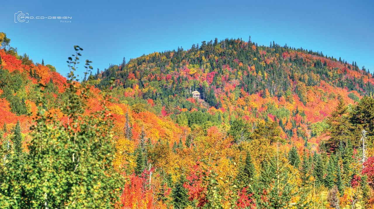 Le Ti Moose Villa La Malbaie Eksteriør bilde