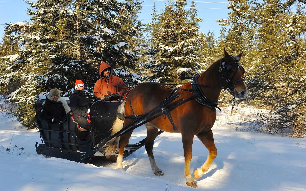 Le Ti Moose Villa La Malbaie Eksteriør bilde